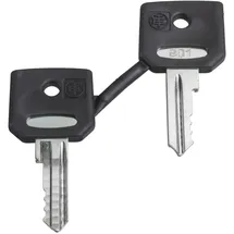 Schneider Electric ZBG3131A Ersatzschlüssel
