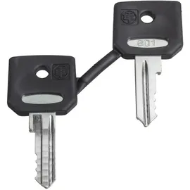 Schneider Electric ZBG3131A Ersatzschlüssel