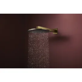 Hansgrohe Raindance Alive S Kopfbrause 300 2-jet EcoSmart mit Brausearm (24541990)