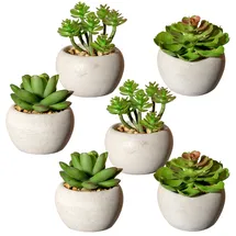 Creativ green Künstliche Zimmerpflanze CREATIV GREEN "Sukkulenten", grün, H:9cm Ø:7cm, Kunststoff, Kunstpflanzen, Künstliche Zimmerpflanze, Deko-Pflanze im Zementtopf, 6er Set