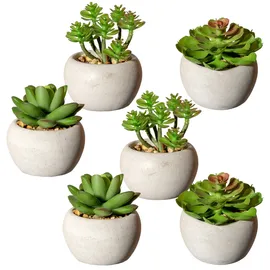 Creativ green Künstliche Zimmerpflanze CREATIV GREEN "Sukkulenten", grün, H:9cm Ø:7cm, Kunststoff, Kunstpflanzen, Künstliche Zimmerpflanze, Deko-Pflanze im Zementtopf, 6er Set