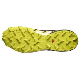 Salomon Speedcross 6 Gore-Tex Black / Sulphur Spring / Bird Of Paradise 45 1/3