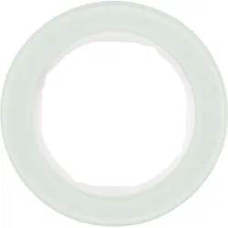 Berker Rahmen Glas/pows 10112009