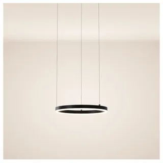 s.luce Pendelleuchte LED Pendelleuchte Ring 40 direkt oder indirekt 5m Abhängung Schwarz, Warmweiß schwarz