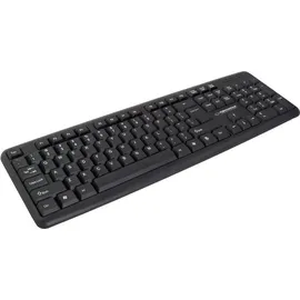 Esperanza EK134 USB Schwarz QWERTY