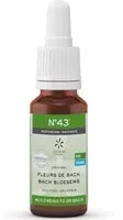 Fleurs de Bach Bio N°43 Motivation Goutte(S) 20 ml