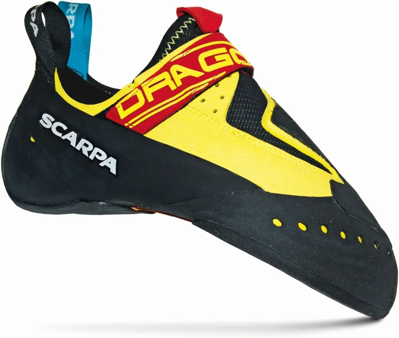 scarpa