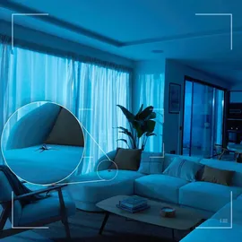 Philips Hue Secure Desktop-Kamera 1 St. Schwarz