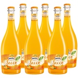 Katlenburger Valensina Orange Secco 7% vol. 0,75l