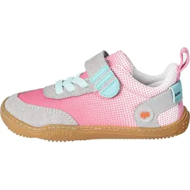 qnuffs Fichte Rosa 25