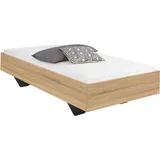 Rauch Futonbett Phoenix ¦ holzfarben ¦ Maße (cm): B: 95 H: 41