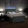 vidaXL Boxspringbett 140 x 200 cm Dunkelgrau
