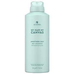 Alterna My Hair. My Canvas. Another Day Dry Shampoo Trockenshampoo 101 ml 