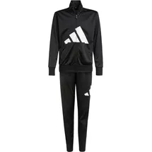 adidas Essentials Big Logo Climacool Trainingsanzug Black / White 140