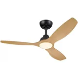 Philips LED Deckenventilator 35 cm Schwarz