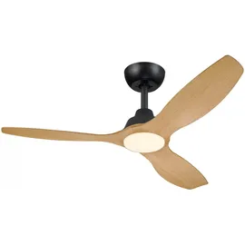 Philips LED Deckenventilator 35 cm Schwarz