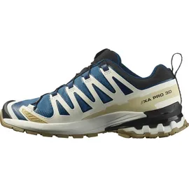 Salomon XA Pro 3D V9 GTX Herren Dark Blue/Icicle/Aloe 42 2/3
