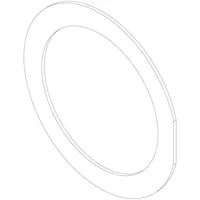 Junkers Bosch BOSCH Ersatzteil TTNR: 8738804969 Dichtung Brennstab VM