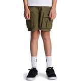 DC Shoes Cargoshorts Tundra