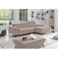 Cotta Ecksofa »Kitty L-Form«, Modern, L-Form, Bodenfreiheit 12,5 cm braun