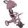 GLOBBER Explorer Trike 4in1 ECO beere