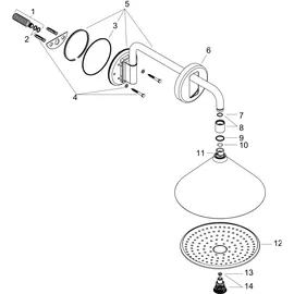 Hansgrohe Kopfbrause 240 2jet (26021140)