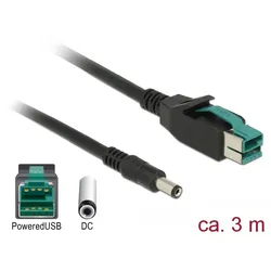 Delock Powered USB-Kabel - USB PlusPower (12 V)