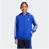 Adidas Kinder Kapuzensweat Train Essentials, LUCBLU/WHITE, 164