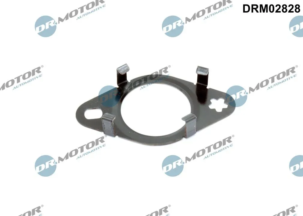 DR.MOTOR AUTOMOTIVE Dichtung, Leitung AGR-Ventil drm02828 für Ford
