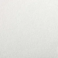 Clairefontaine Zeichenpapier 50x65 cm 160g, Pack. 24 Bogen -