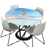 Morbuy Rund Tischdecke Elastisch, Möwe Drucken Rund Tischdecken Wasserdicht Lotuseffekt Abwaschbar Abwischbar Tischtuch für Garten Outdoor Küchentisch (Für Tisch 70-80 cm,Blauer Himmel)