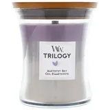 WoodWick Trilogy Amethyst Sky Duftkerze mit Holzdocht 275 g