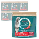 Purina One Bifensis Sterilcat 6x1,5kg Trockenfutter für Katzen mit Rind