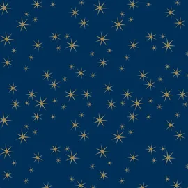 Clairefontaine 211928C Rolle Geschenkpapier 50x0,70m Alliance 60g Sternen