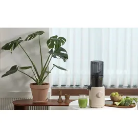 Hurom H310A Entsafter