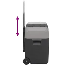 vidaXL Kompressor Kühlbox 50 l