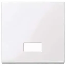 Merten Wippe Symbol Fenster awsgl 432825