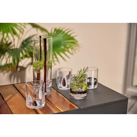 LEONARDO HOME BANDA NERA Krug • 1 Stück • Vielseitiger Krug • handgefertigtes Glas • ideal für Wasser und Saft • mit Ausgießer • stilvoller Tischkrug • modernes Design • Höhe 25 cm • schwarz • 055292