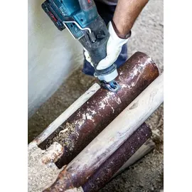 Bosch Säbelsägeblatt Expert S 1255 CHC 1 Stück