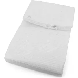 FP Gitterplane 2 x 3 m Transparent