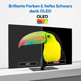 Medion MD865901 65" 3840 x 2160 Pixel OLED 4K Fernseher