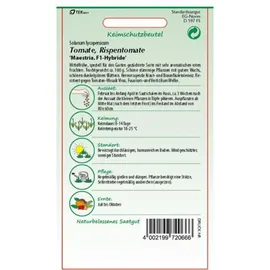 Samen Pfann Tomate, Maestria F1-Hybride - Tomatensamen von SAMEN Pfann