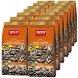 MERAY Dakota Sonnenblumenkerne 250 gr. (in Salzlake) - 14 Packungen