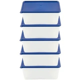 EUROHOME Vorratsdose Gefrierdosen Set 0,75L zum Frischhalten und Gefrieren, (Set, 1-tlg., Frischhaltedose im 5er Set), Gefrierdosen mit fest Deckel - Vorratsdosen Set