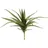 Europalms Aloe (EVA), künstlich, grün, 50cm