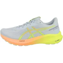Asics GT-1000 13 Paris Herren grau 45