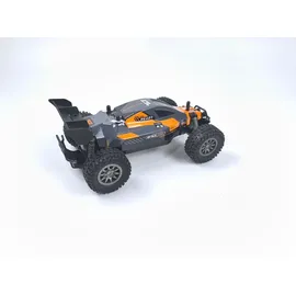 DF-Models RC-Buggy Rookie Fighter 2,4GHz RTR mehrfarbig (3147)