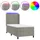vidaXL Boxspringbett 100 x 200 cm Hellgrau