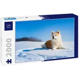 Lais Puzzle Akita Inu 2000 Teile