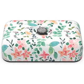 24Bottles Little Buds Lunchbox